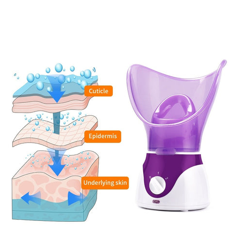 Facial Steamer