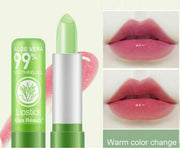 Moisturizing Aloe Vera Lip Balm